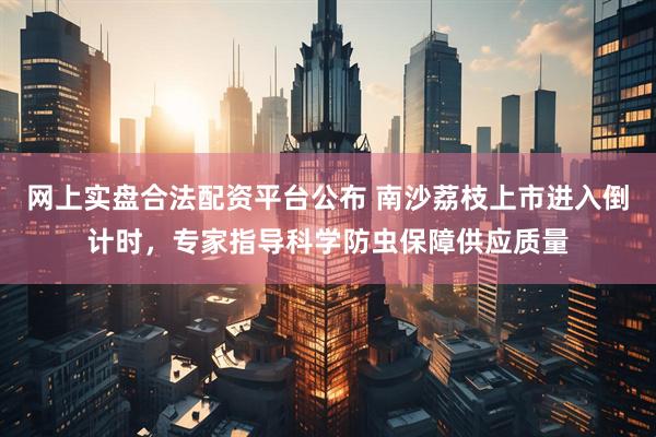 网上实盘合法配资平台公布 南沙荔枝上市进入倒计时，专家指导科学防虫保障供应质量