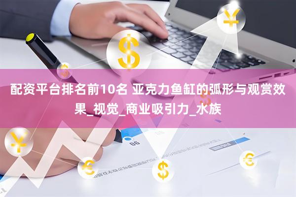 配资平台排名前10名 亚克力鱼缸的弧形与观赏效果_视觉_商业吸引力_水族